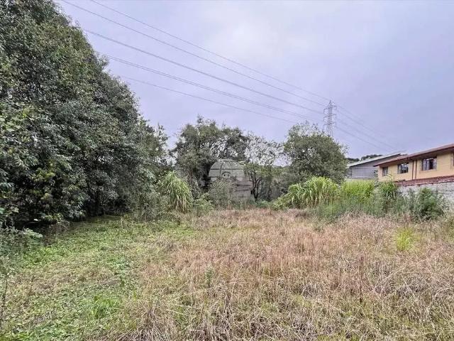 Terreno aluguel em Região Geográfica Imediata de Curitiba, Região Metropolitana de Curitiba