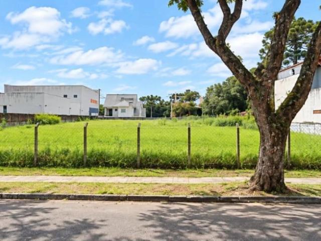 Terreno aluguel em Santa Felicidade, Curitiba