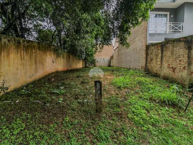 Terreno aluguel em Região Geográfica Imediata de Curitiba, Região Metropolitana de Curitiba