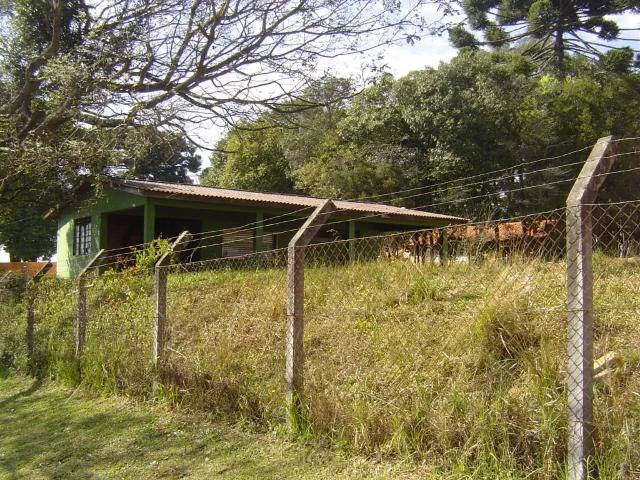 Terreno aluguel em Região Geográfica Imediata de Curitiba, Região Metropolitana de Curitiba