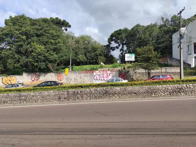 Terreno aluguel em Região Geográfica Imediata de Curitiba, Região Metropolitana de Curitiba