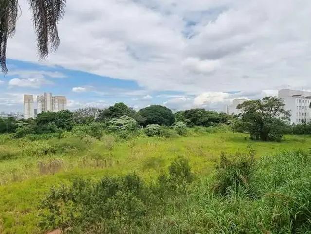Terreno aluguel em Diadema