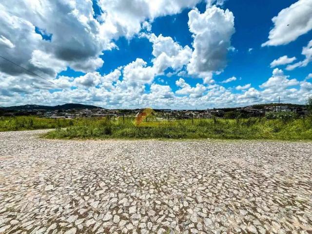 Terreno aluguel em Divinópolis, Região Geográfica Intermediária de Divinópolis
