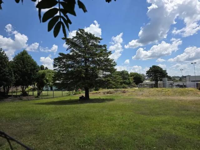 Terreno aluguel em Região Geográfica Imediata de Caxias do Sul, Farroupilha