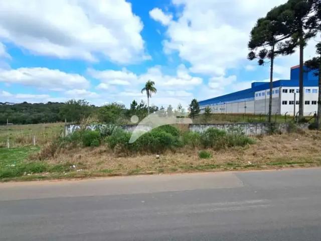 Terreno aluguel em Região Geográfica Imediata de Curitiba, Região Metropolitana de Curitiba