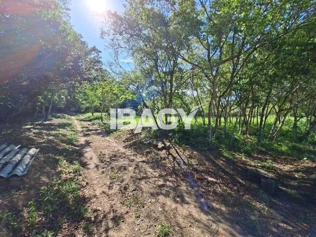 Terreno aluguel em Região Geográfica Imediata de Florianópolis, Desterro