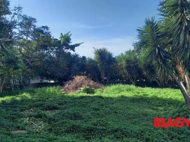 Terreno aluguel em Região Geográfica Imediata de Florianópolis, Desterro