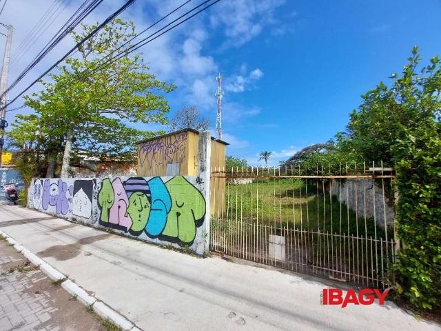 Terreno aluguel em Florianópolis, Lagoa da Conceição