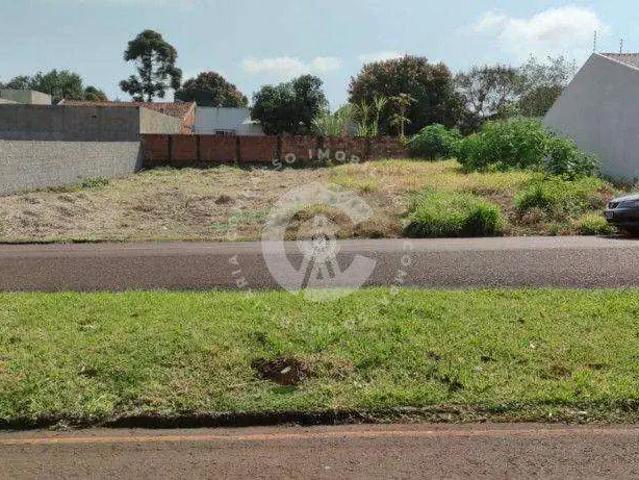 Terreno aluguel em Região Geográfica Imediata de Foz do Iguaçu, Foz do Iguaçu