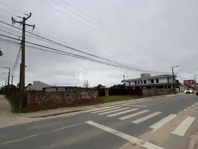 Terreno aluguel em Campo d'Una, Garopaba