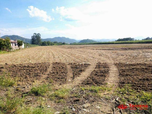 Terreno aluguel em Gaspar, Bela Vista