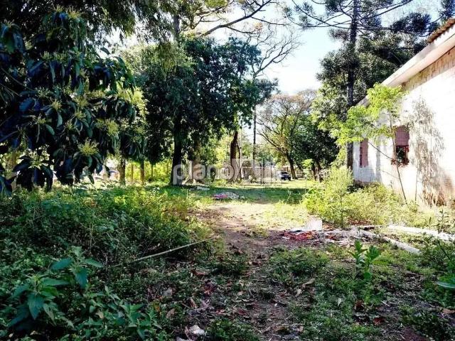 Terreno aluguel em Região Geográfica Imediata de Porto Alegre, Região Metropolitana de Porto Alegre