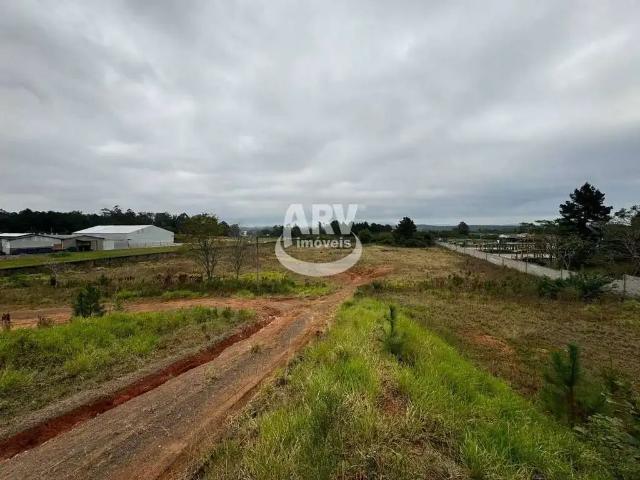 Terreno aluguel em Região Geográfica Imediata de Porto Alegre, Região Metropolitana de Porto Alegre