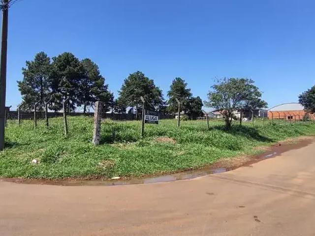 Terreno aluguel em Região Geográfica Imediata de Guarapuava, Guarapuava