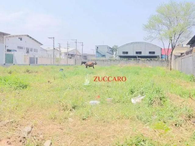 Terreno aluguel em Região Imediata de Campinas, Região Metropolitana de Campinas