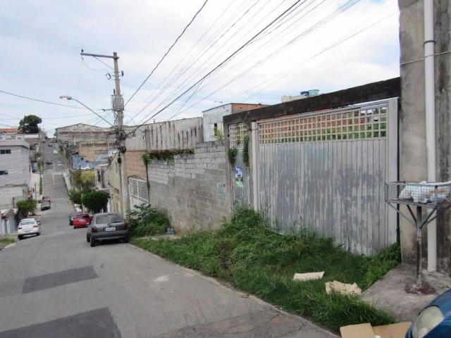 Terreno aluguel em Jardim Tupinambá, Guarulhos