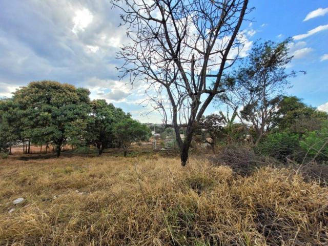 Terreno aluguel em Igarapé, Região Geográfica Intermediária de Belo Horizonte