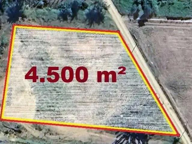 Terreno aluguel em Ilhota, Centro