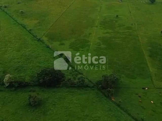 Terreno aluguel em Centro, Ilhota
