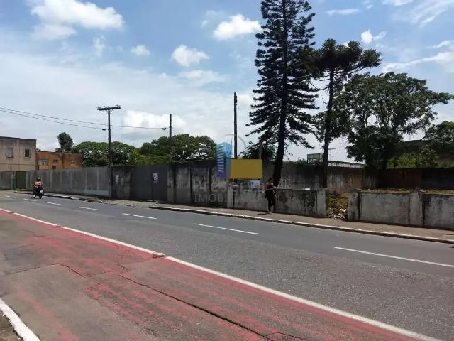 Terreno aluguel em Coloninha, Itajaí