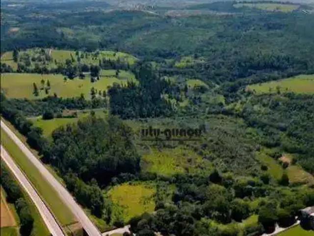 Terreno aluguel em Região Imediata de São José do Rio Preto, Região Metropolitana de São José do Rio Preto