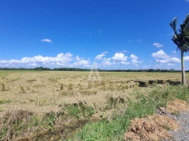 Terreno aluguel em Joinville, Morro do Meio