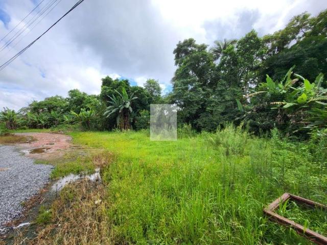 Terreno aluguel em Joinville, Vila Nova