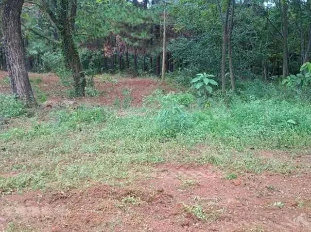 Terreno aluguel em Região Imediata de Jundiaí, Jundiaí