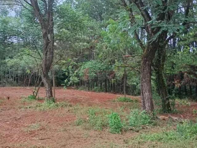 Terreno aluguel em Região Imediata de Jundiaí, Jundiaí