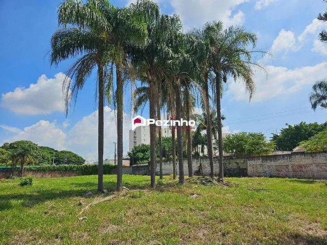 Terreno aluguel em Limeira