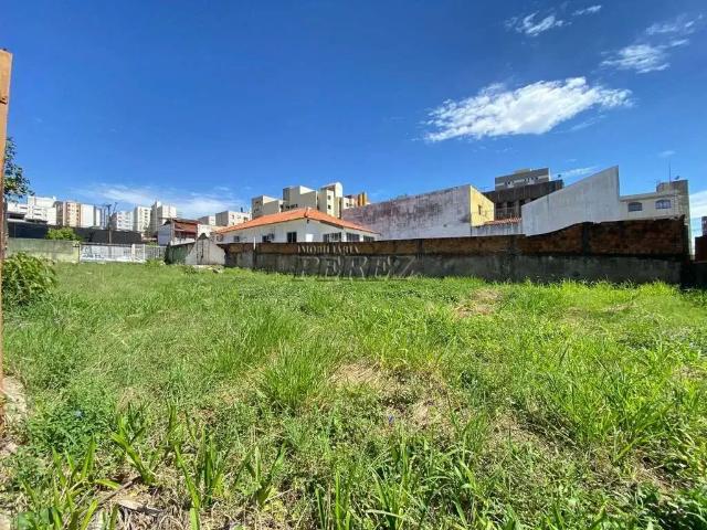 Terreno aluguel em Região Geográfica Imediata de Londrina, Londrina