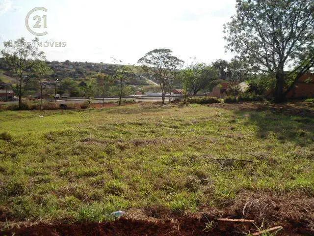 Terreno aluguel em Jardim Columbia, Londrina
