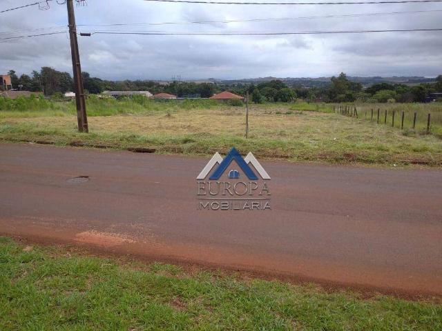 Terreno aluguel em Região Geográfica Imediata de Londrina, Londrina
