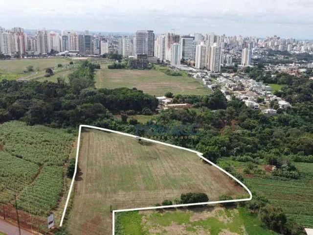 Terreno aluguel em Região Geográfica Imediata de Londrina, Londrina