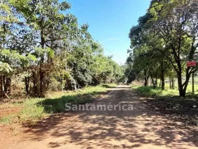 Terreno aluguel em Região Geográfica Imediata de Londrina, Londrina
