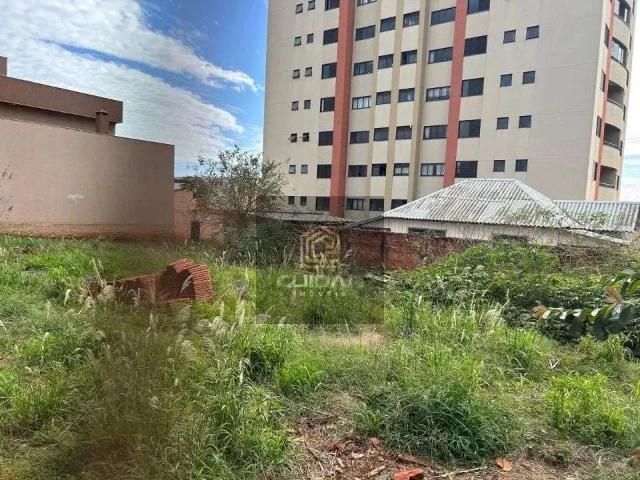 Terreno aluguel em Região Geográfica Imediata de Londrina, Londrina