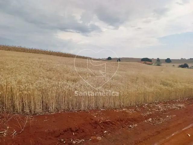 Terreno aluguel em Região Geográfica Imediata de Londrina, Londrina