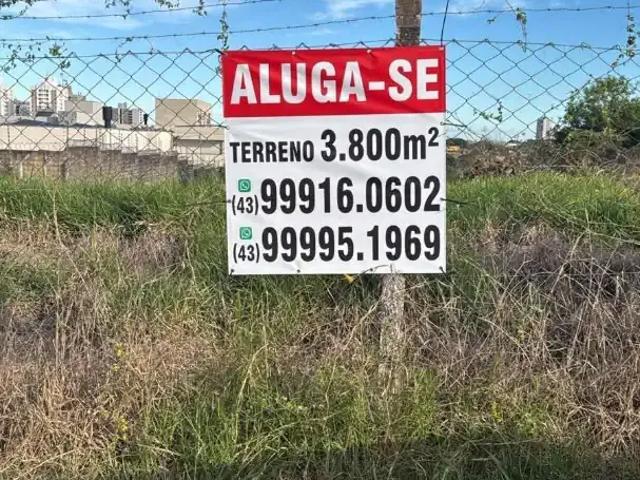 Terreno aluguel em Região Geográfica Imediata de Londrina, Londrina