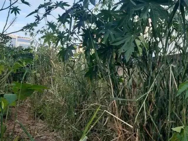 Terreno aluguel em Região Geográfica Imediata de Macaé-Rio das Ostras, Macaé