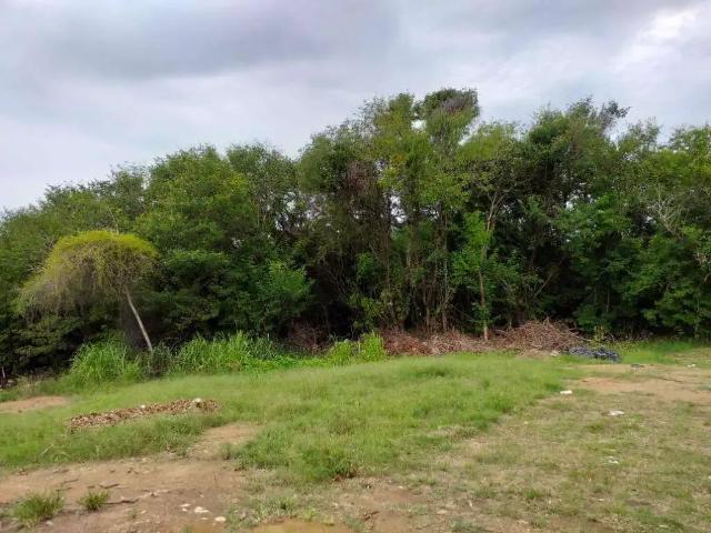 Terreno aluguel em Região Geográfica Imediata de Macaé-Rio das Ostras, Macaé