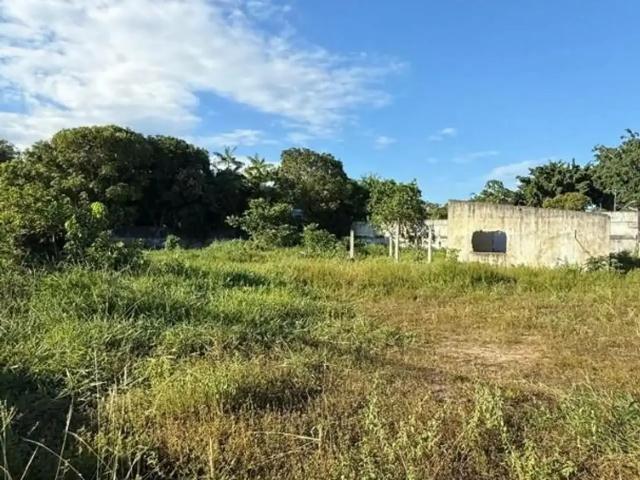 Terreno aluguel em Região Geográfica Imediata de Manaus, Itamarati