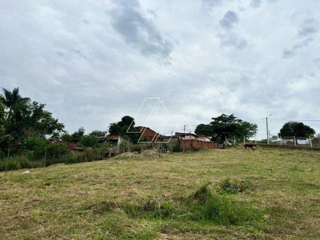 Terreno aluguel em Marília, Região Geográfica Intermediária de Marília
