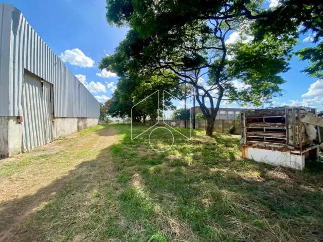 Terreno aluguel em Região Imediata de Marília, Marília
