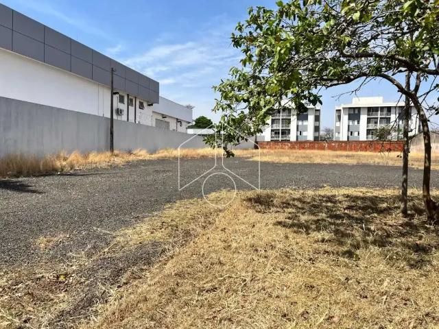 Terreno aluguel em Região Imediata de Marília, Marília