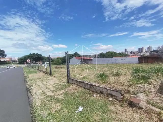 Terreno aluguel em Região Imediata de Marília, Marília