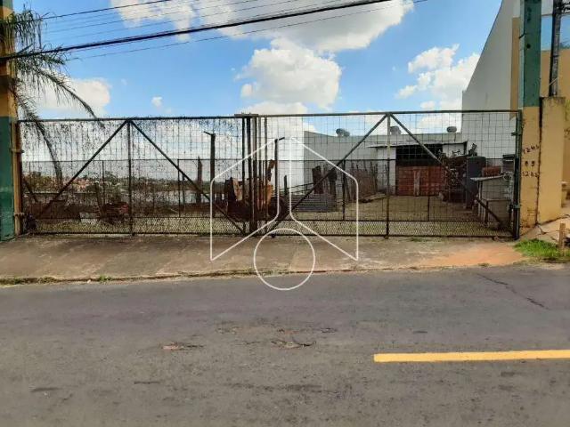 Terreno aluguel em Região Imediata de Marília, Marília