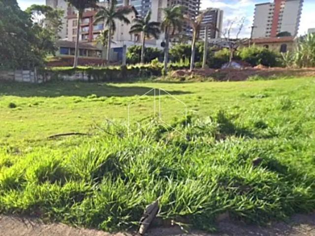 Terreno aluguel em Região Imediata de Marília, Marília