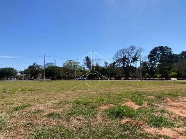 Terreno aluguel em Região Imediata de Marília, Marília
