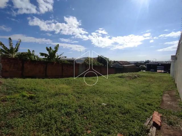 Terreno aluguel em Região Imediata de Marília, Marília