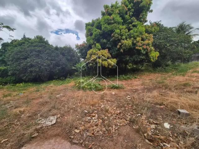 Terreno aluguel em Região Imediata de Marília, Marília